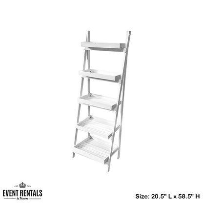 Ladder Shelf